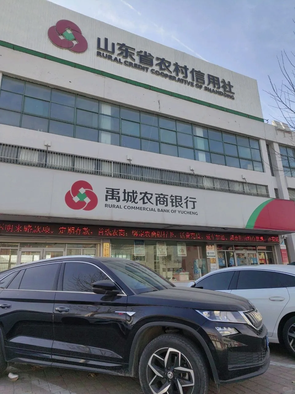 有德州的同学需要禹城农商行工作的吗