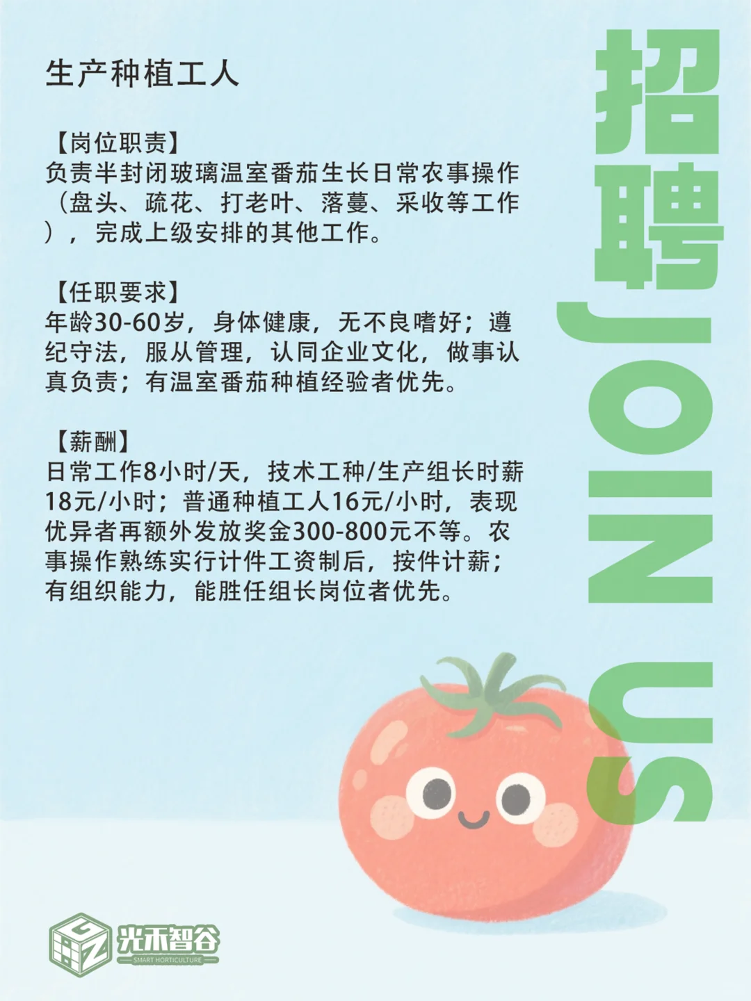 双休公司招人啦!快来和小番茄一起工作吧!