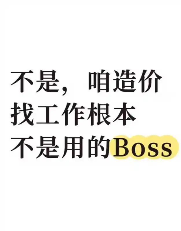 不是，咱造价找工作根本不是用的BOSS