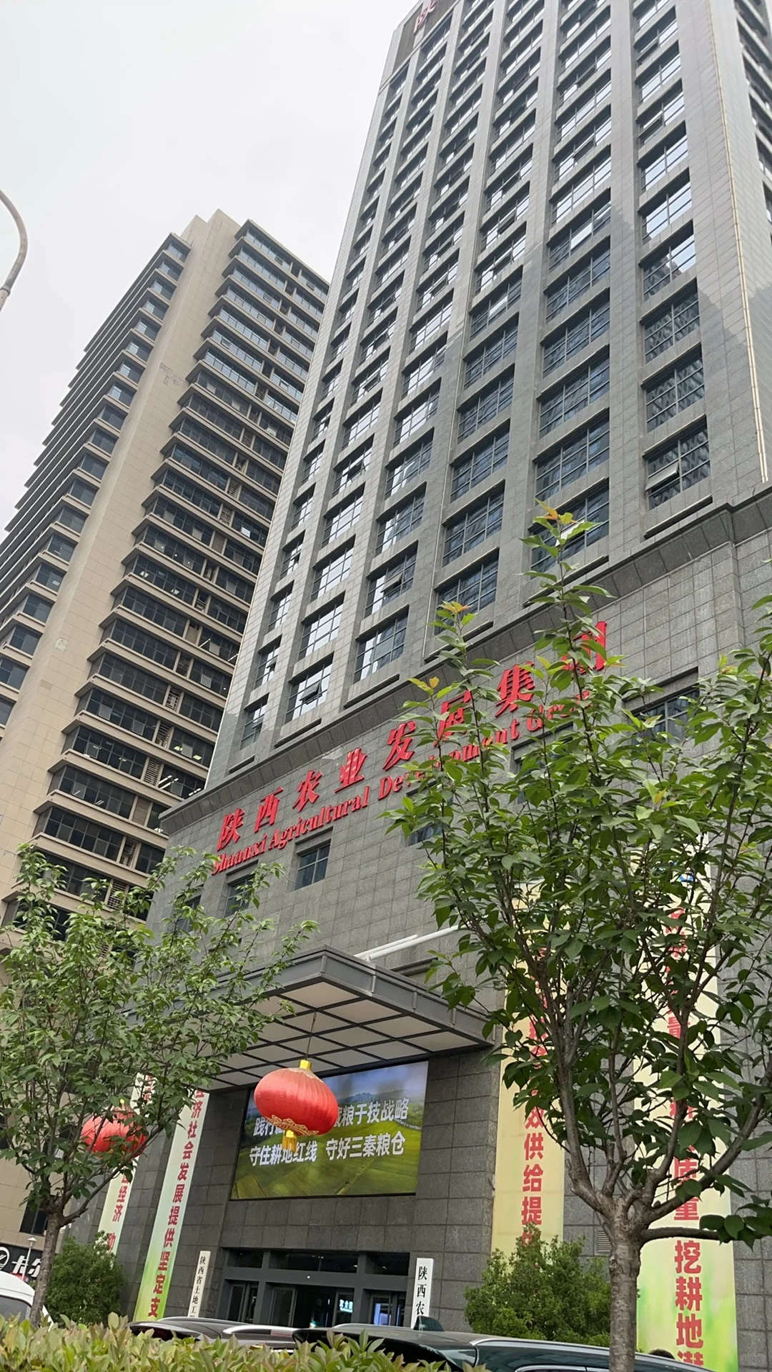 陕西农业发展集团复试:嘎嘎板正