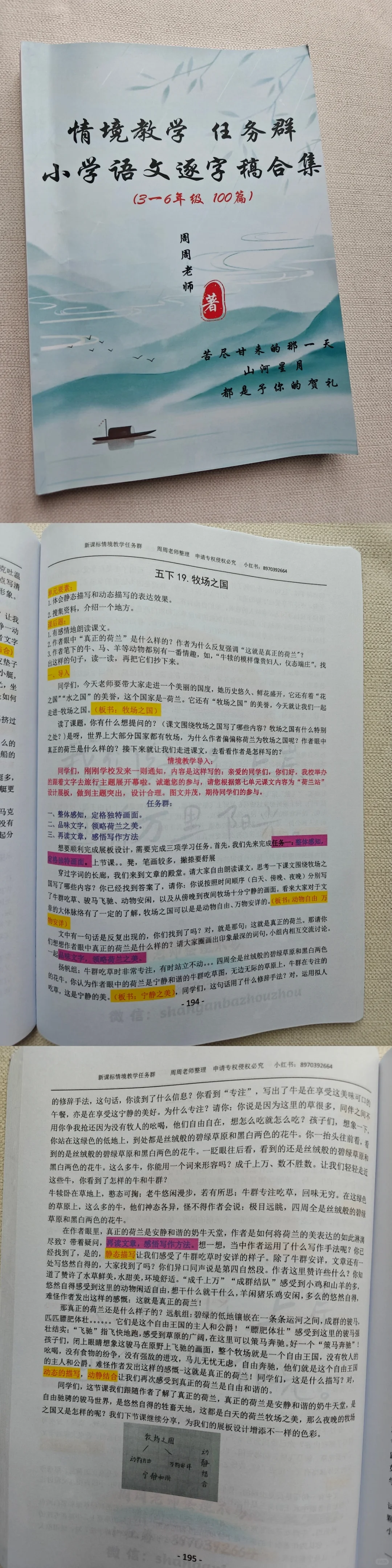 东莞社招小学语文上岸经验分享