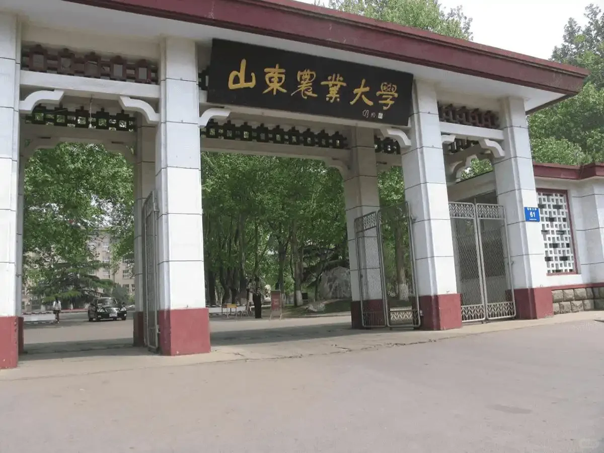 博后招聘