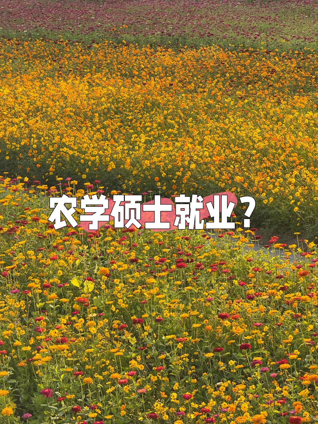 农学硕士出路?