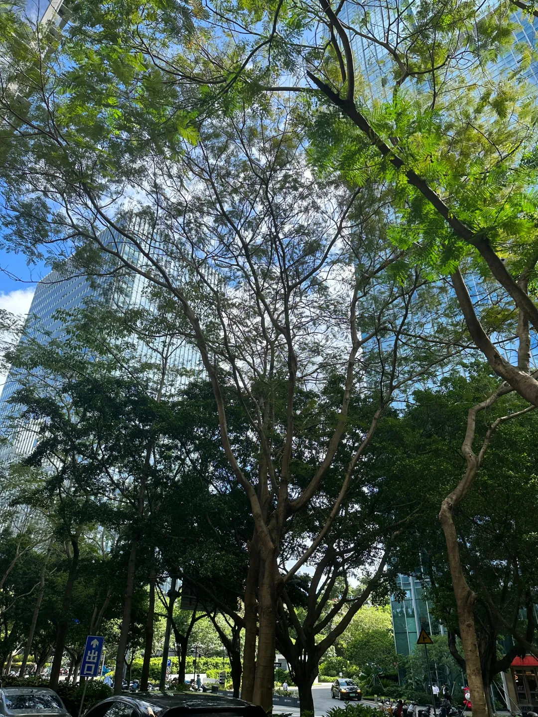 普通人学挣米最快的地方就是boss直聘