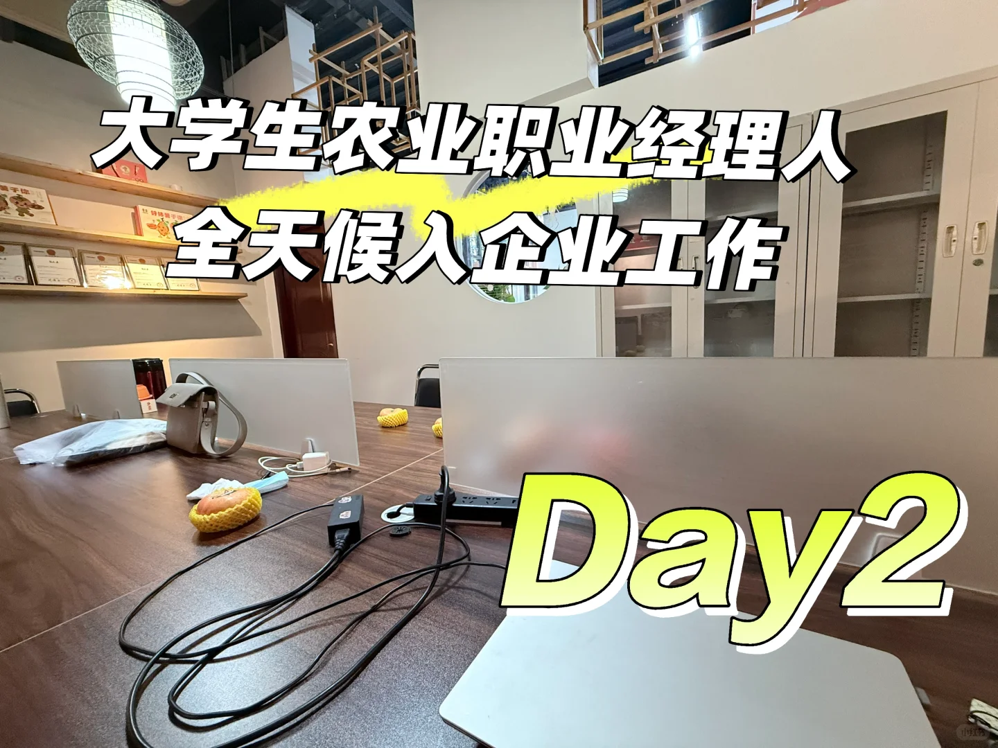 大学生农业职业经理人入企工作Day2