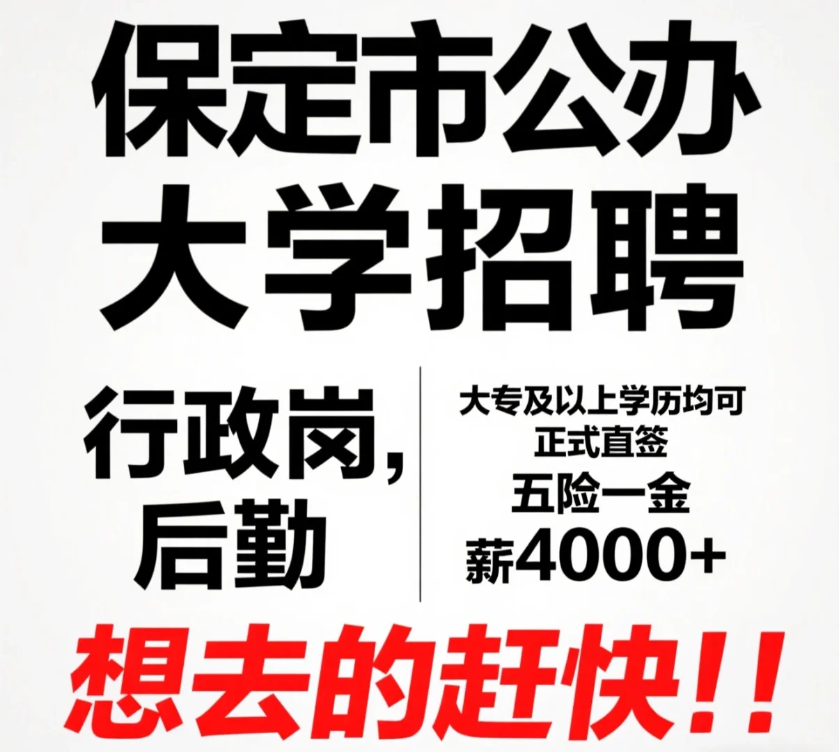保定市公办大学招聘!!!
