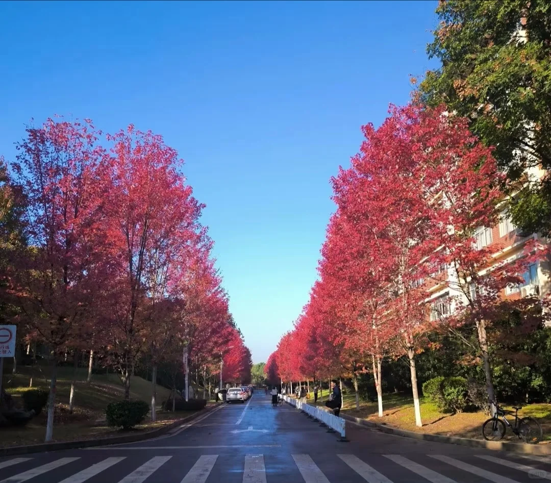 湖南农业大学专业大盘点!选专业必看