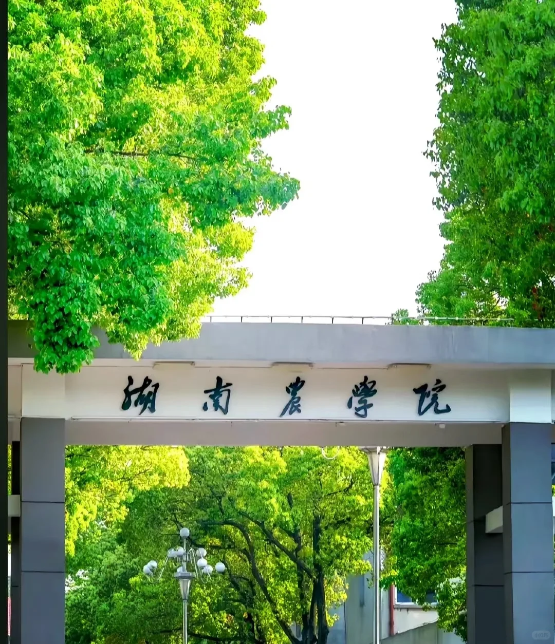 湖南农业大学专业大盘点!选专业必看