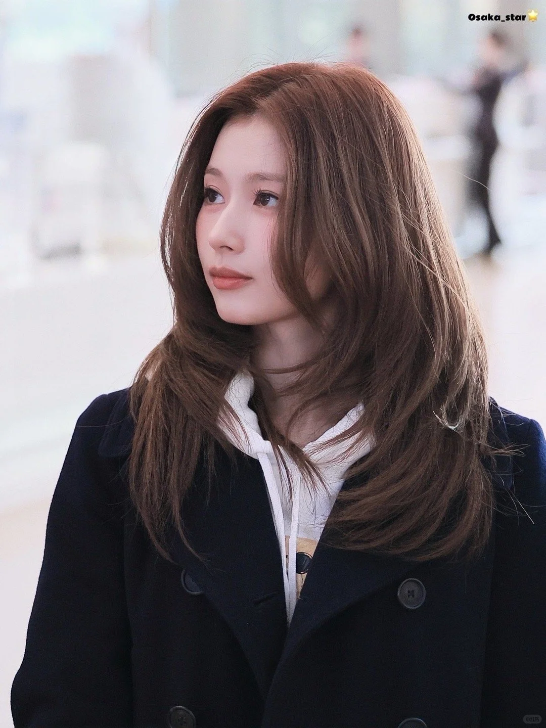 SANA｜夫人 起风了