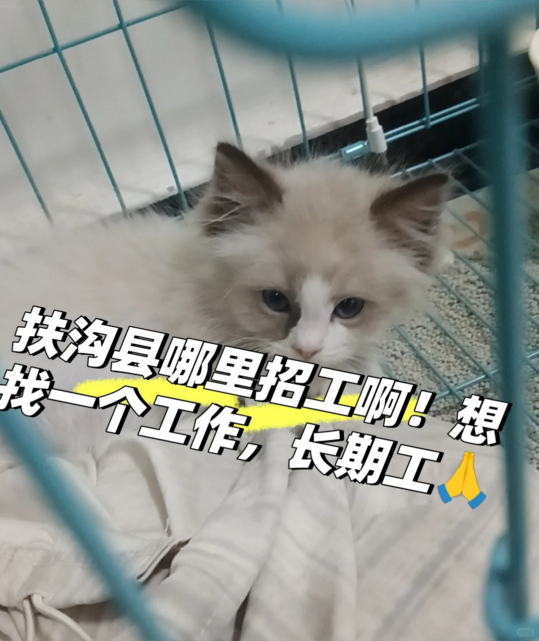 真的想找一个工作啊！???