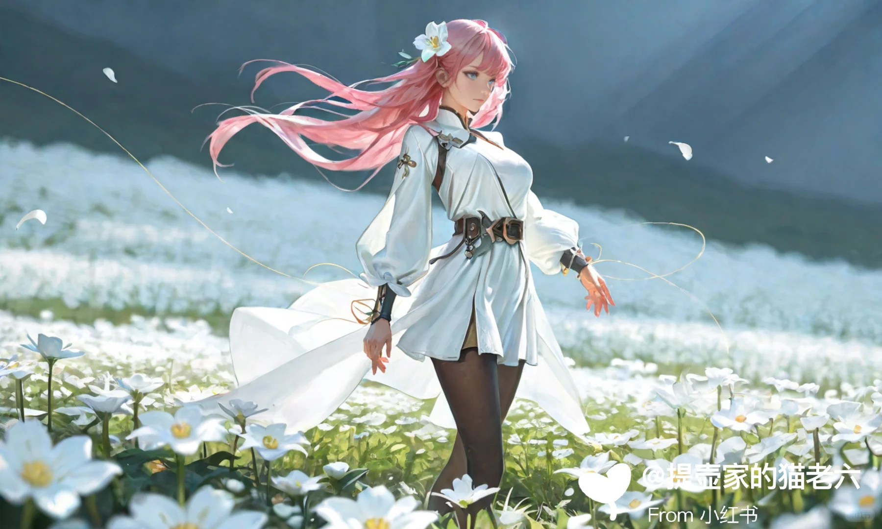 Ai,花海中白衣少女