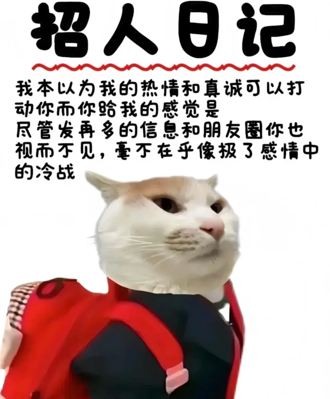 明目张胆的招人