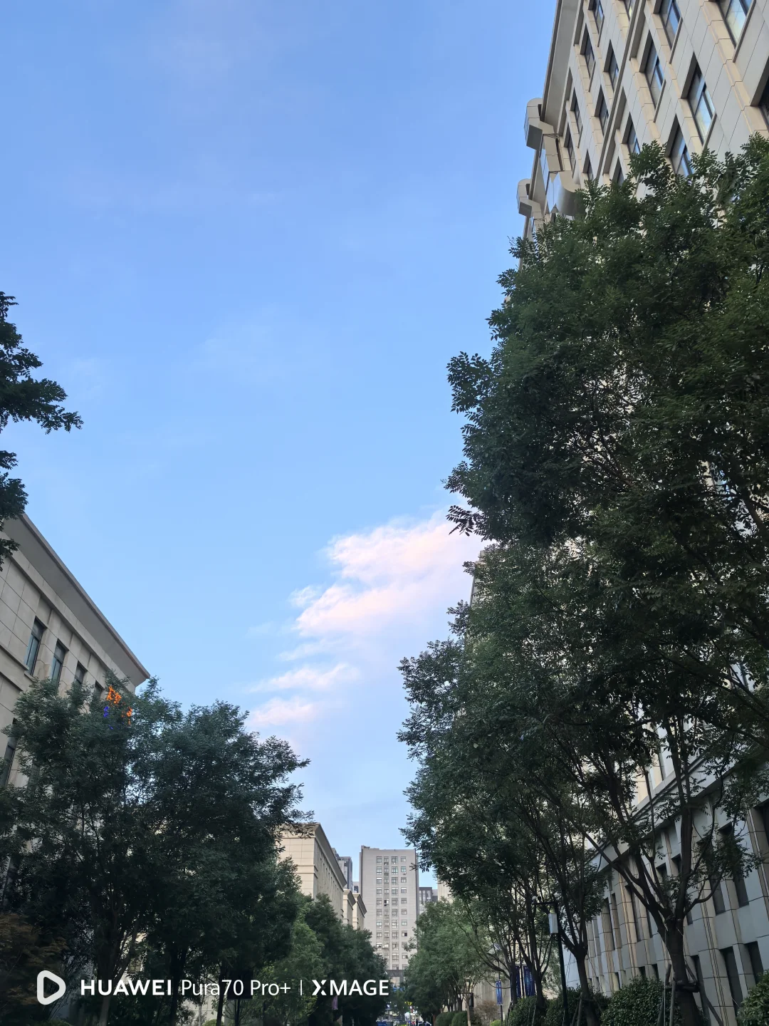 招聘周六周日兼职