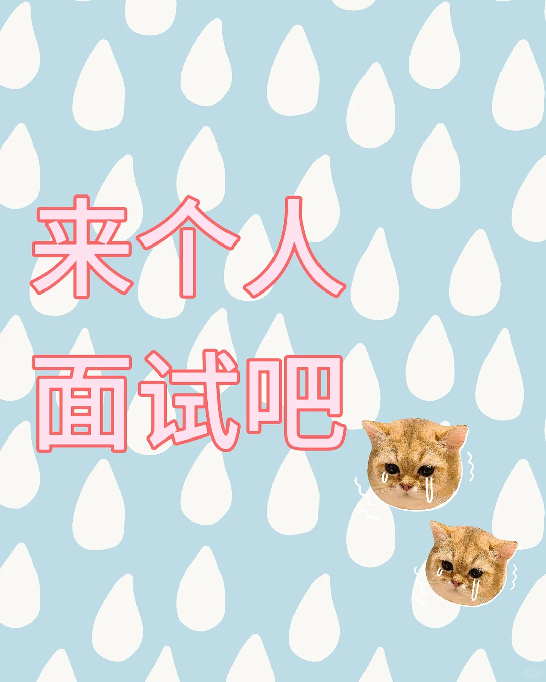 重生之我在助贷公司干人事