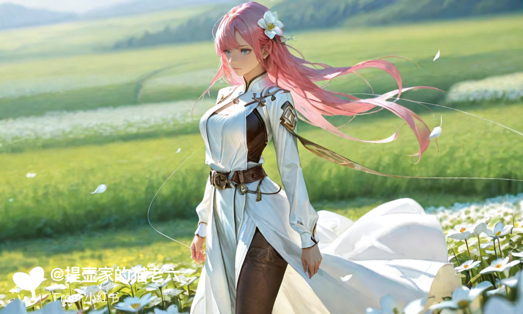 Ai,花海中白衣少女