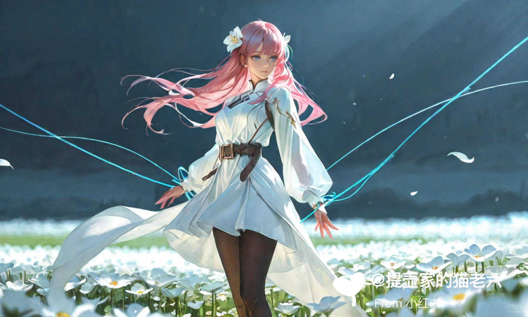 Ai,花海中白衣少女
