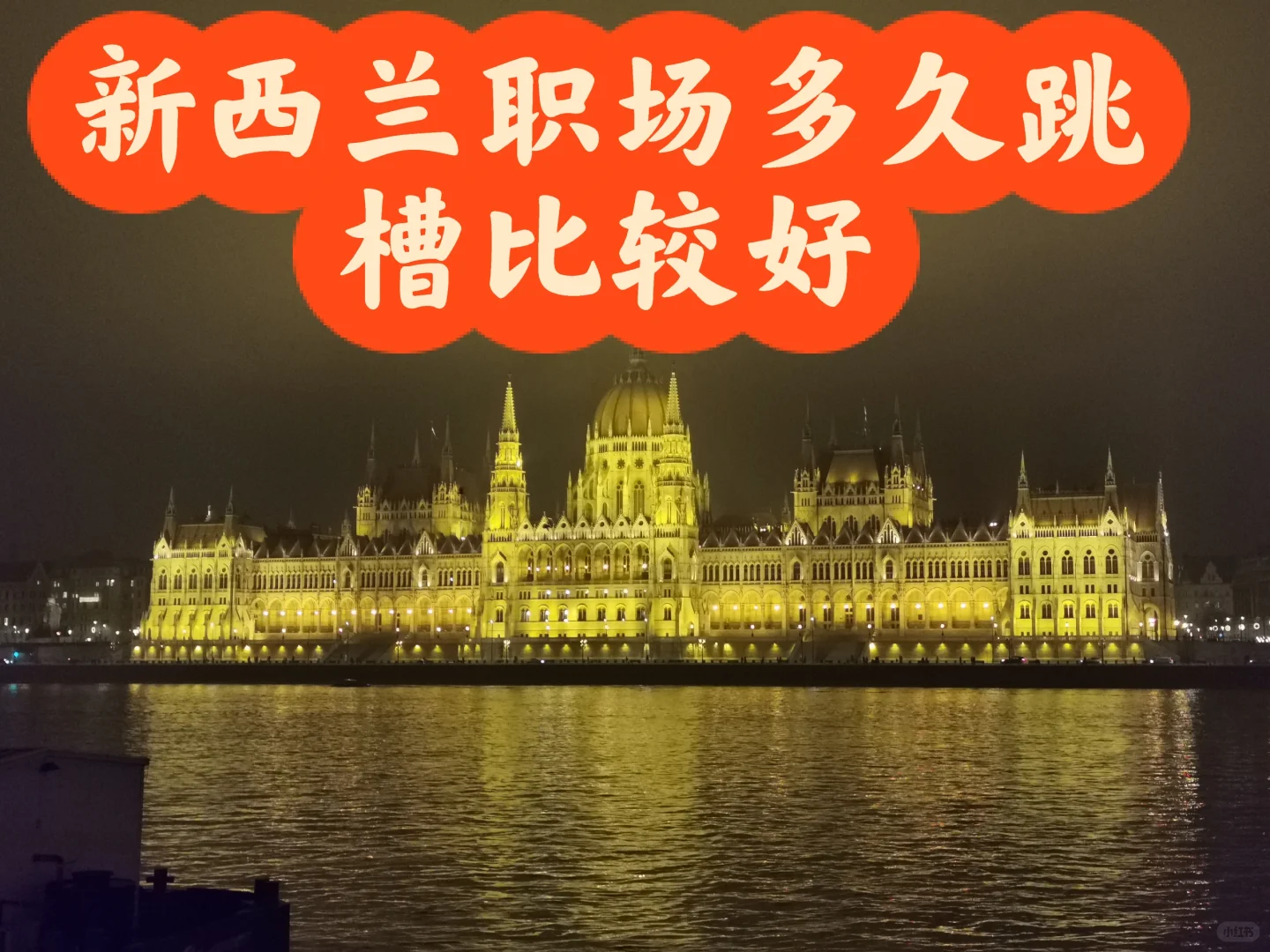 新西兰|跳槽
