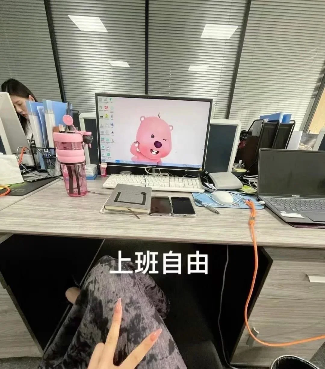 找不到工作,不想进厂的,招聘文员有位置啦