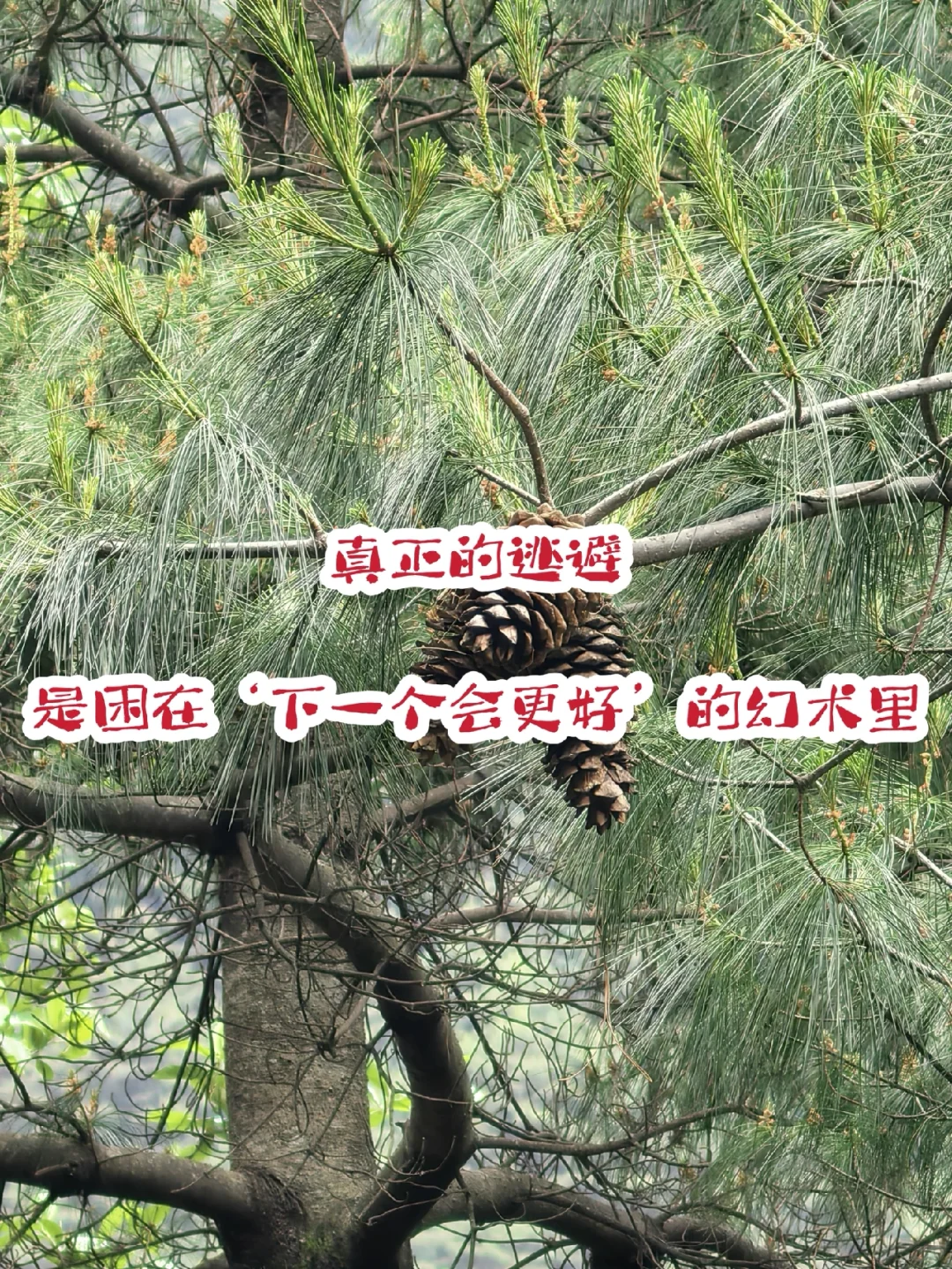 三年换四份工作，总在困难时跳槽