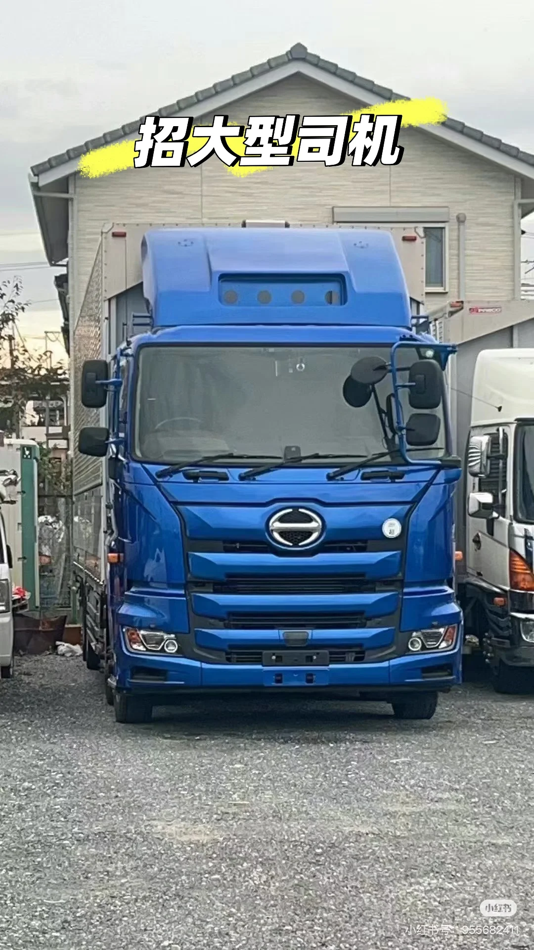 招中型大型司机