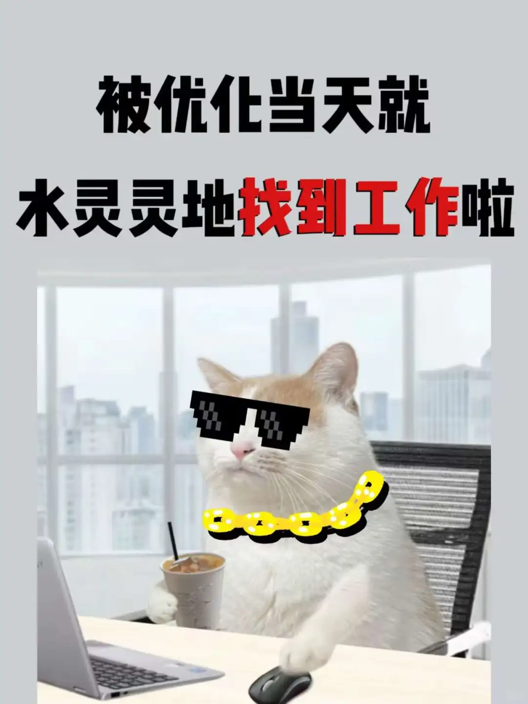 被优化当天就水灵灵找到工作啦