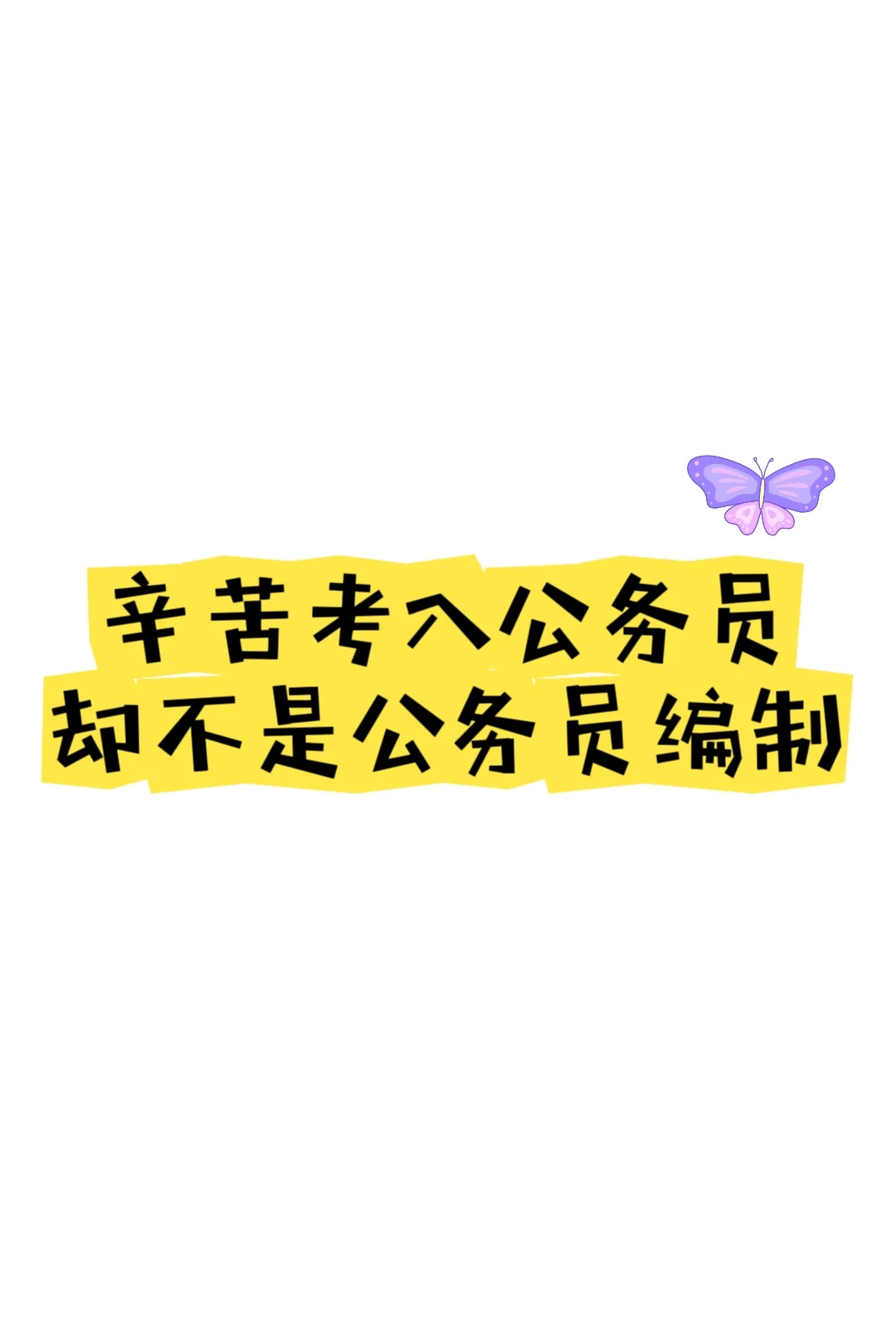辛苦考入公务员，却不是公务员编制