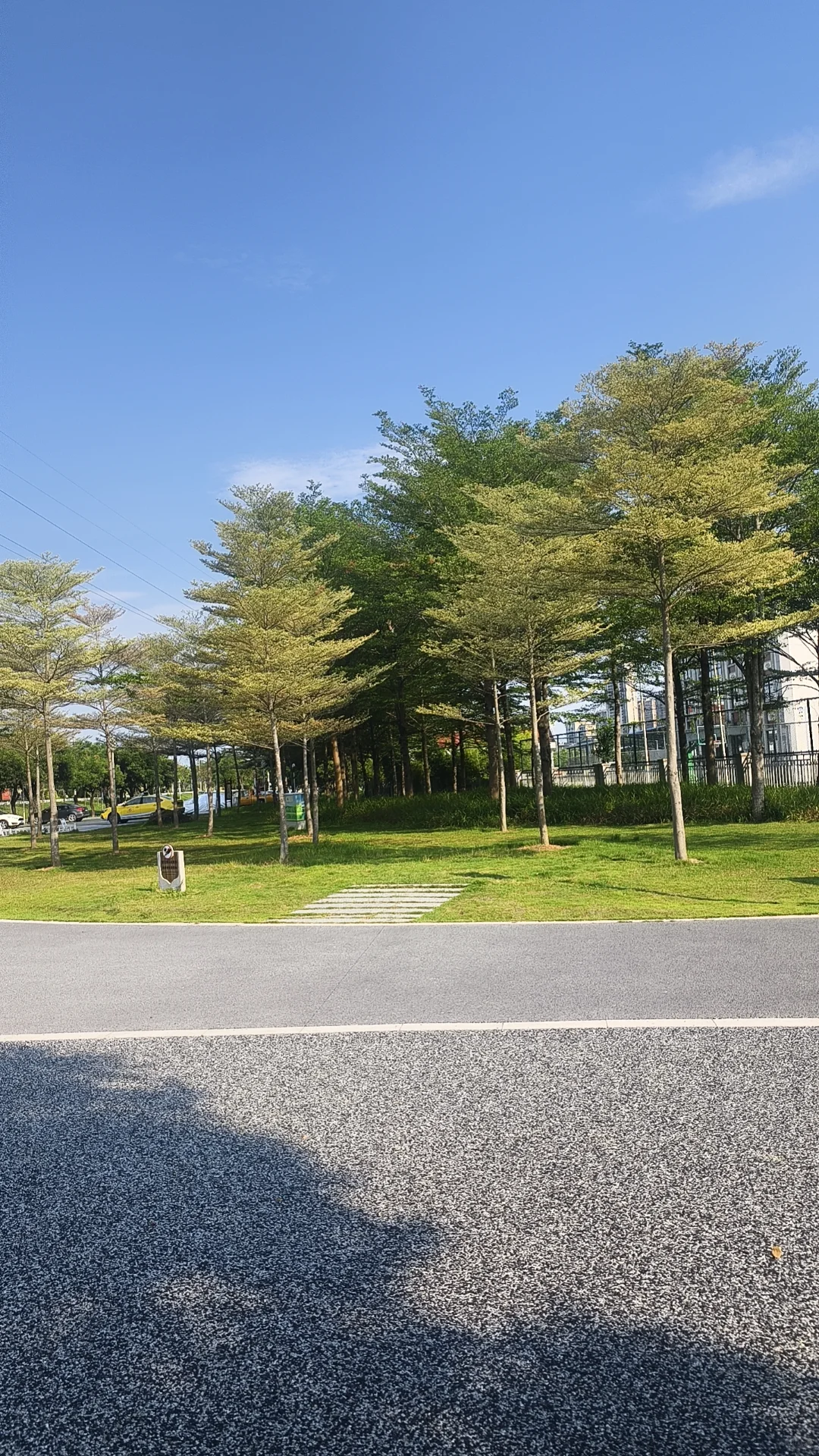 面了几家公司
