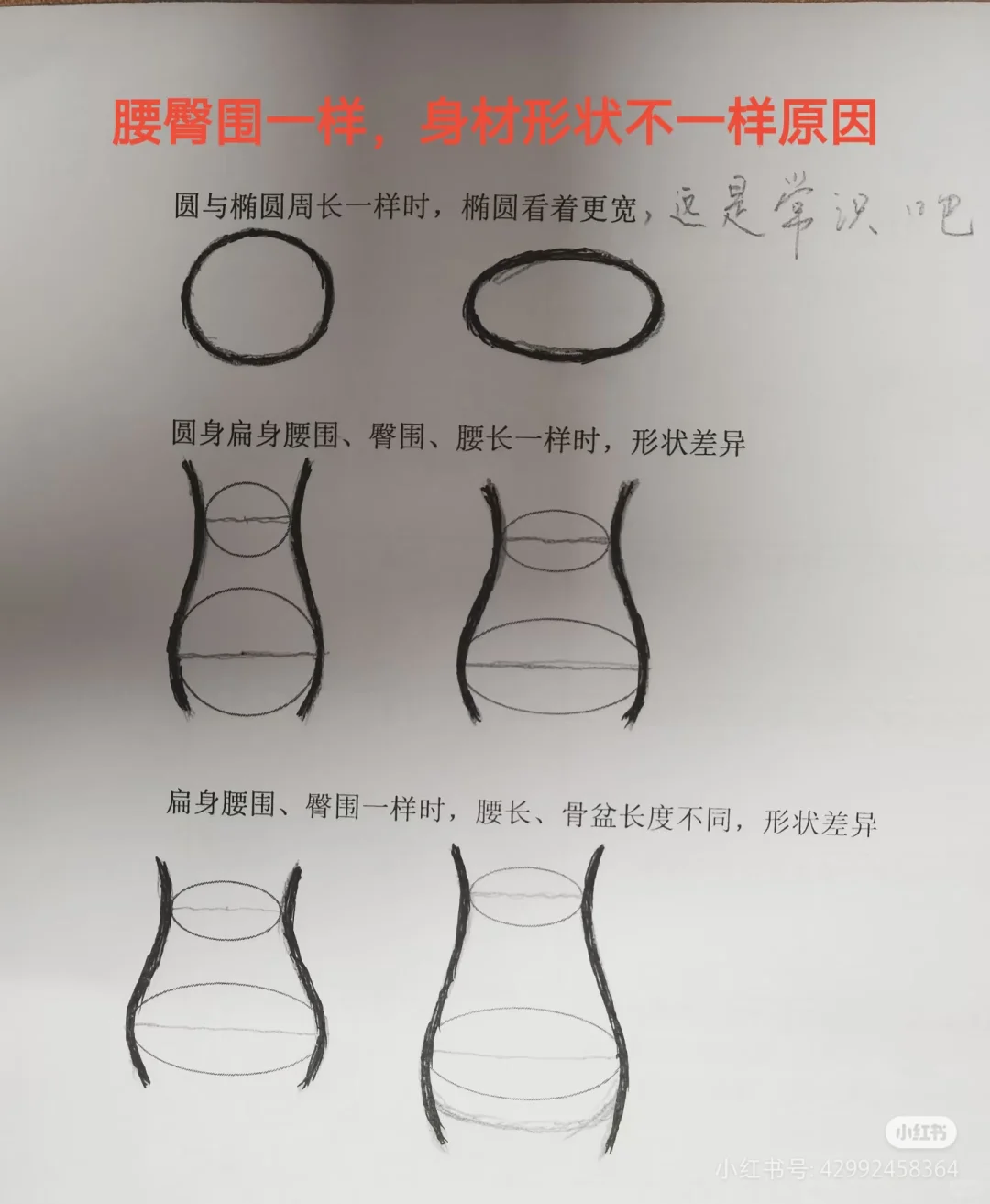 原来沙漏模特也不少见