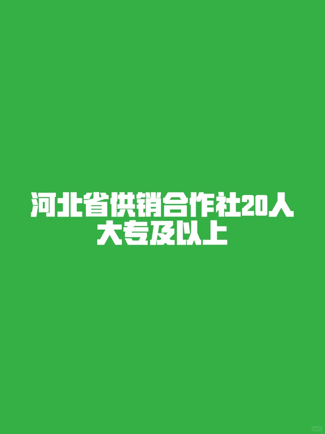 大专以上可报❗️河北供销社所属企业20人❗️