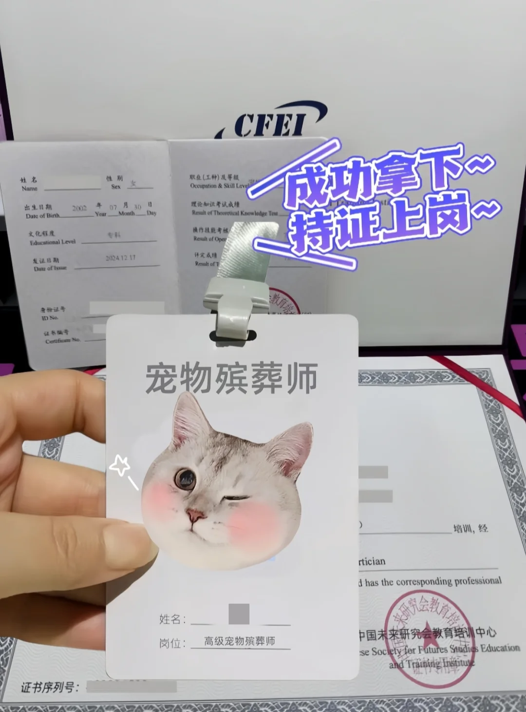 冷门高薪?宠物殡葬师:月薪9k+双休❗❗