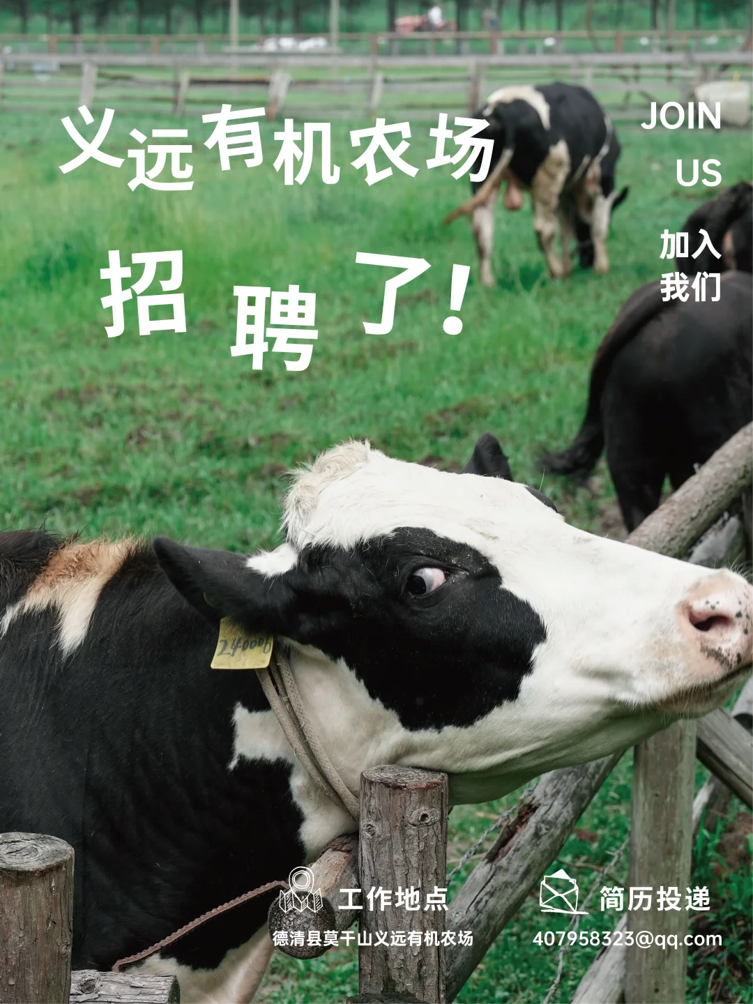 农场招聘 | 快来与牛、羊一起上班