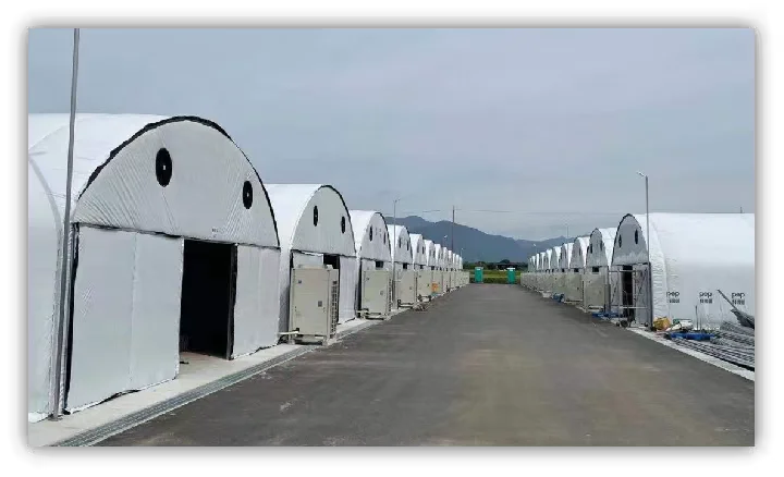 日本招聘