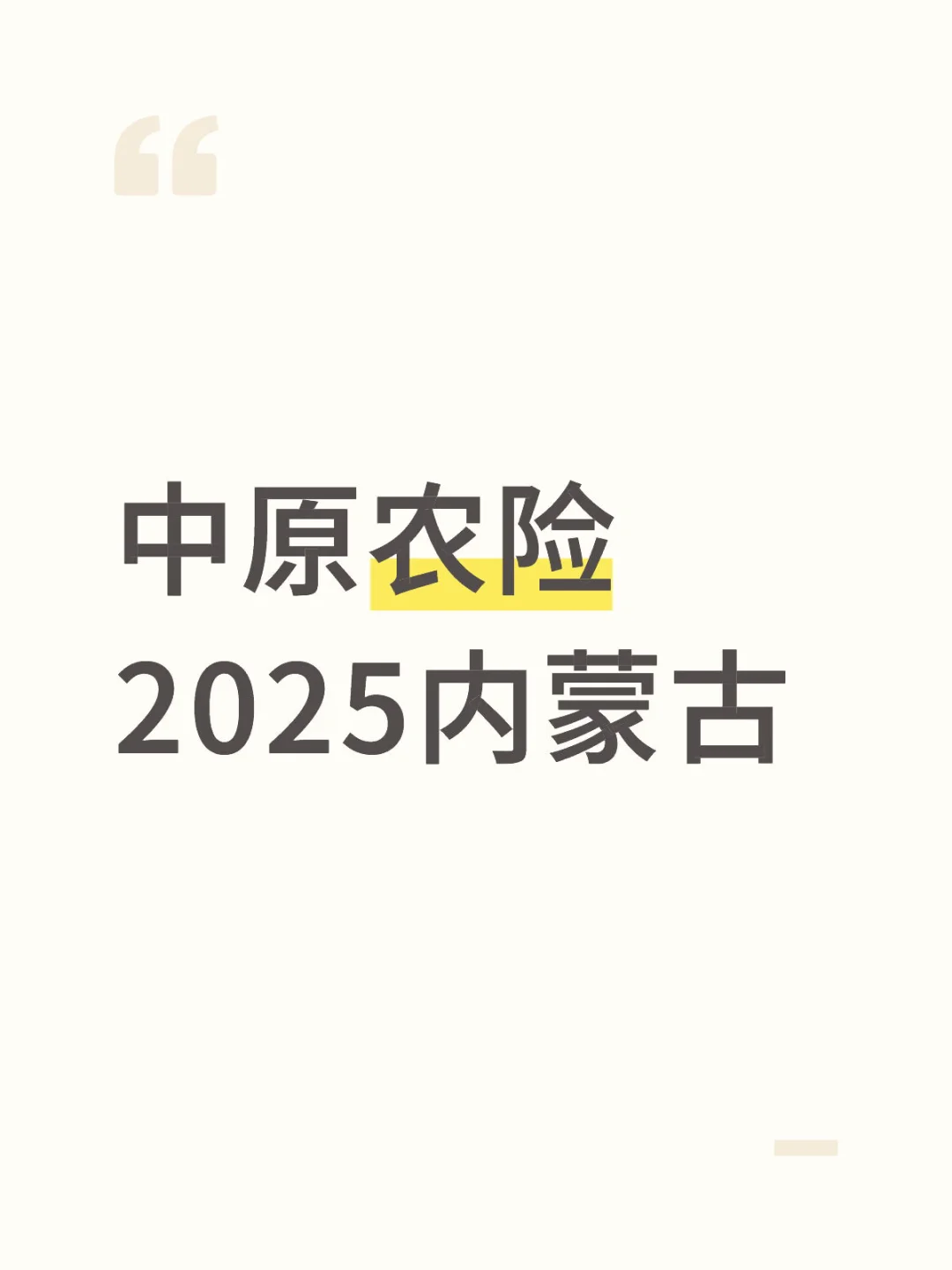 中原农险2025