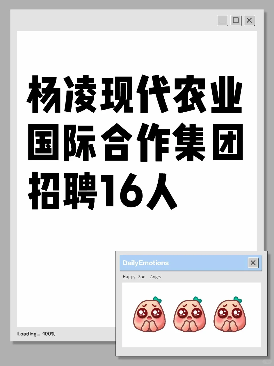 杨凌现代农业国际合作集团招聘16人