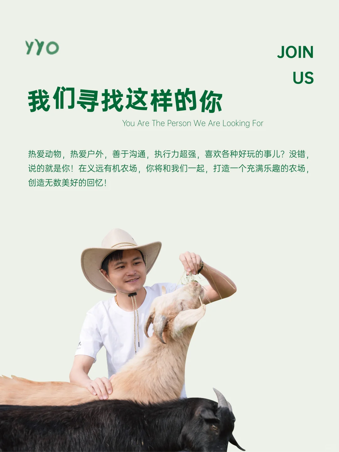 农场招聘 | 快来与牛、羊一起上班