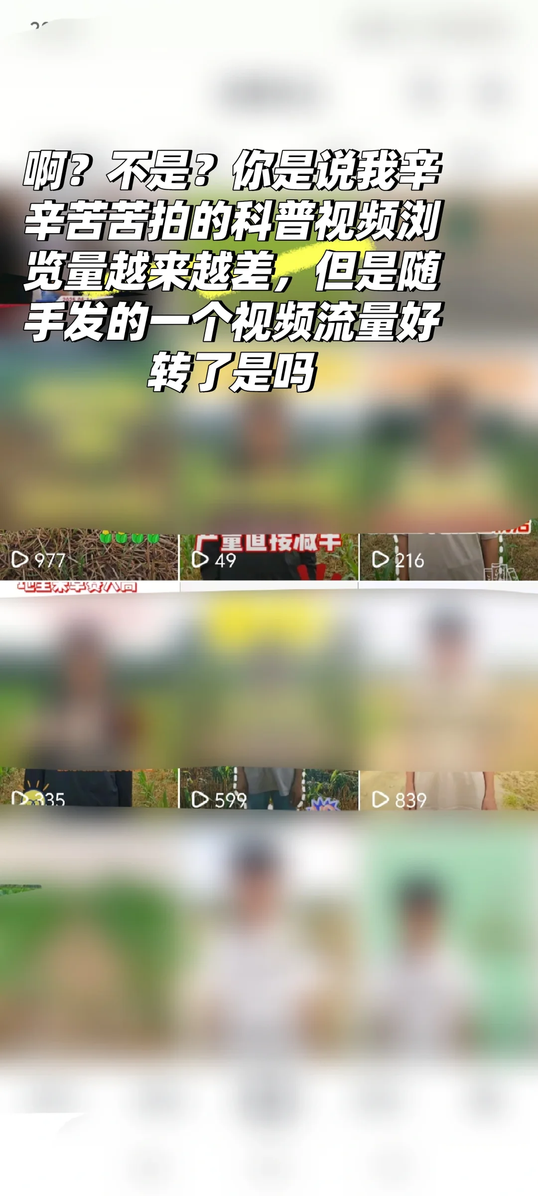 应届大学生入职农业公司新媒体部门的第11天