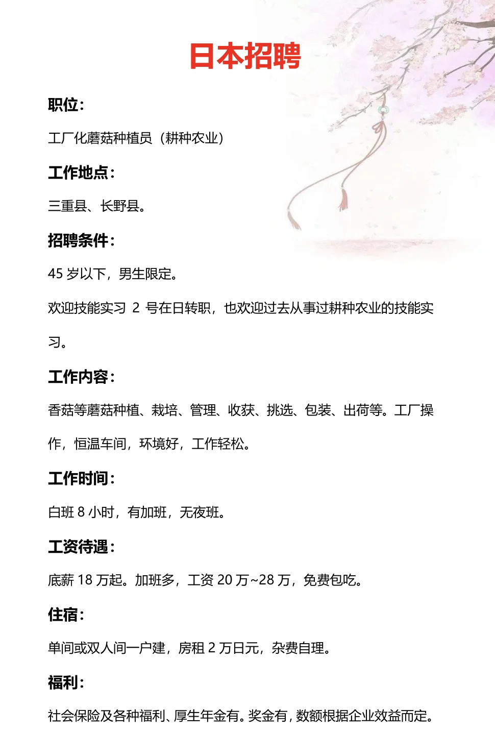 日本招聘