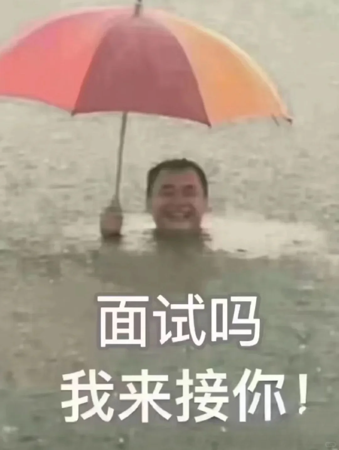 面试吗,只要你来,天上下刀子我也去接你