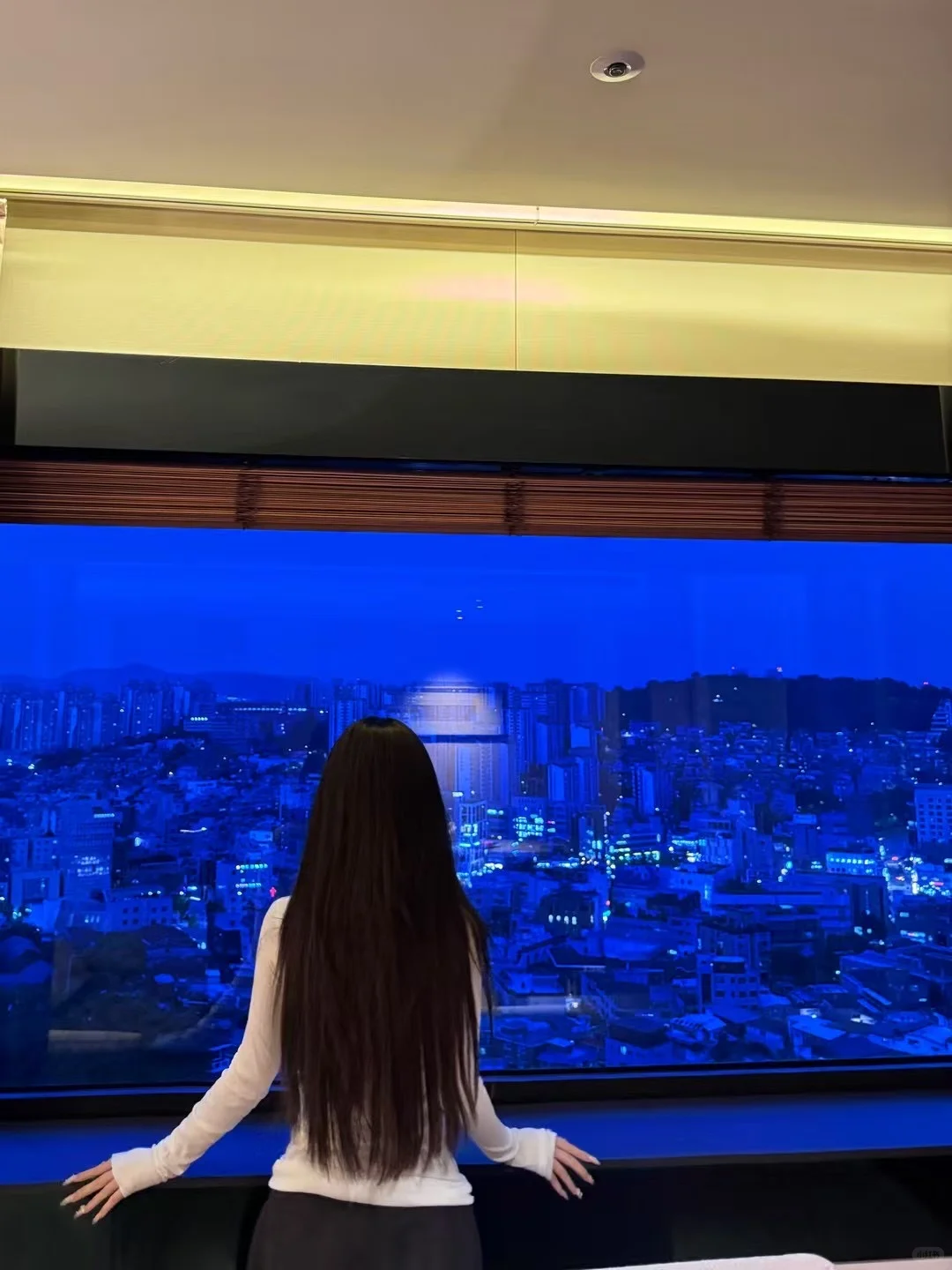 博主招助理