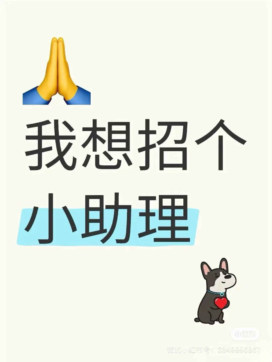 博主招助理
