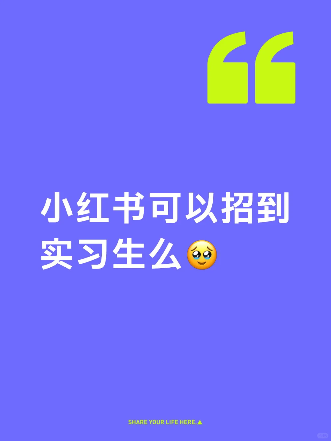 小红书可以招到实习生么?