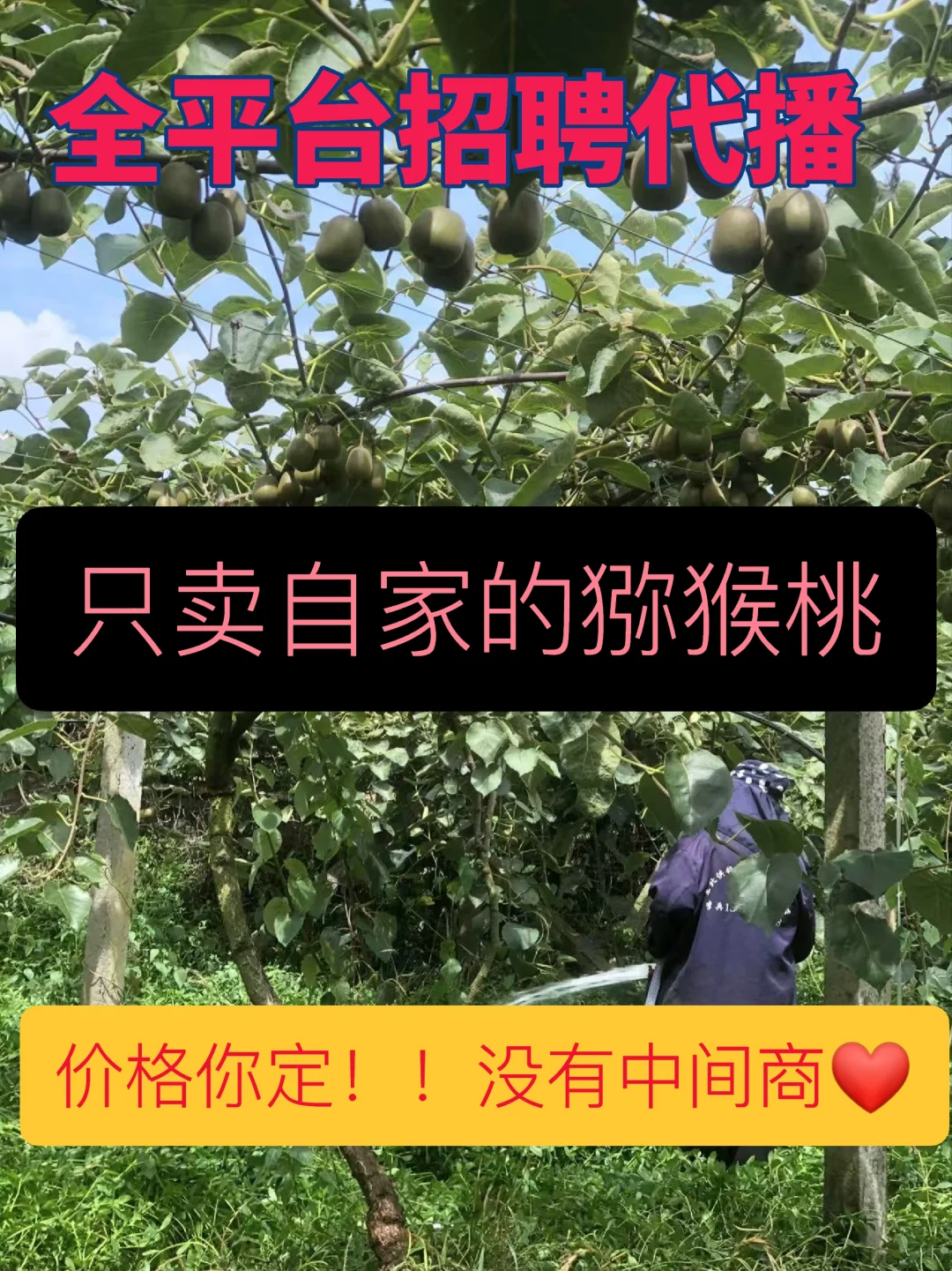 招聘有经验的三农主播❤