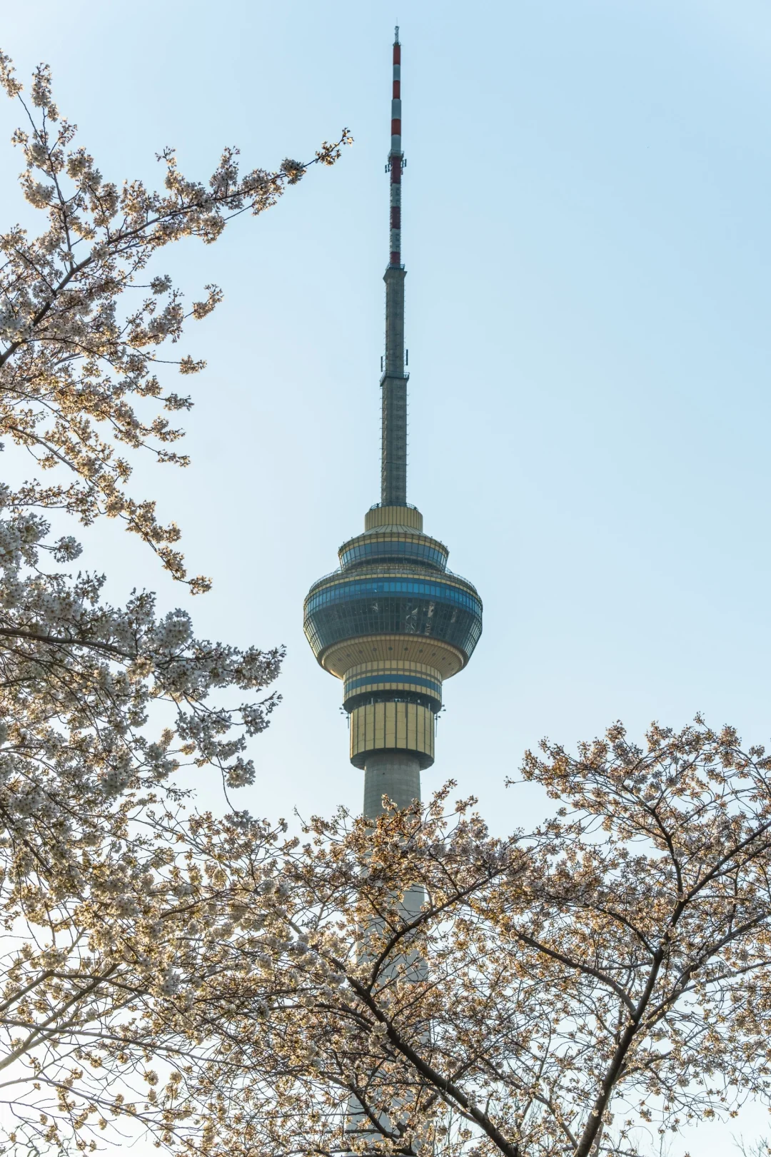 京东实习结束，再见北京?