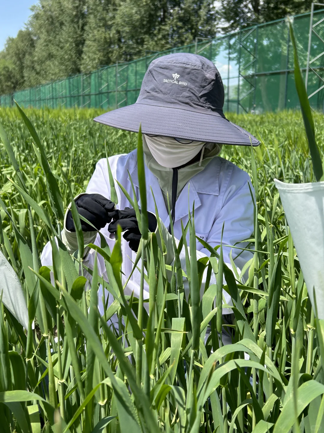 听说你想学农?