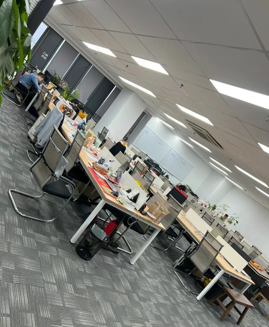 石家庄朝9晚6,入职就有五险一金的工作来了