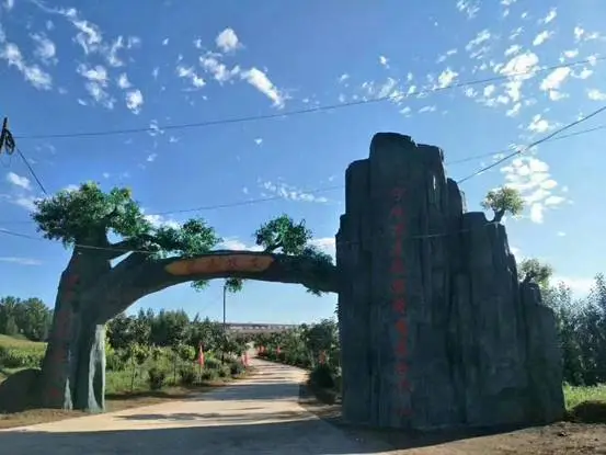 突出“三精”打造专业合作社 助力乡村振兴