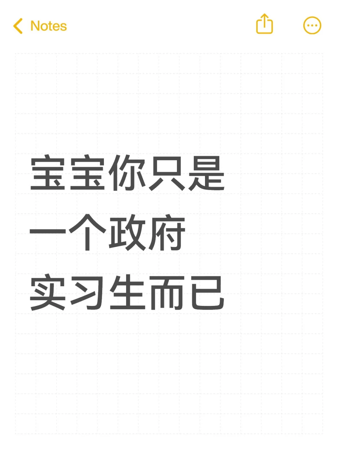 宝宝你只是一个政府实习生而已