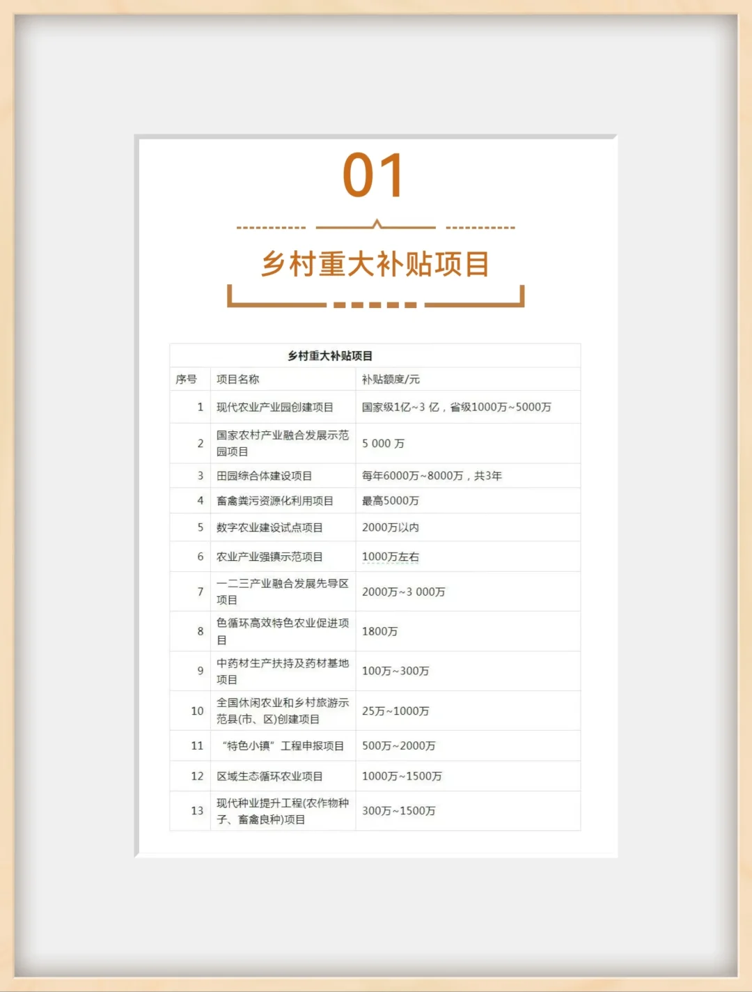 ? 2025乡村振兴必看!超全补贴项目汇总