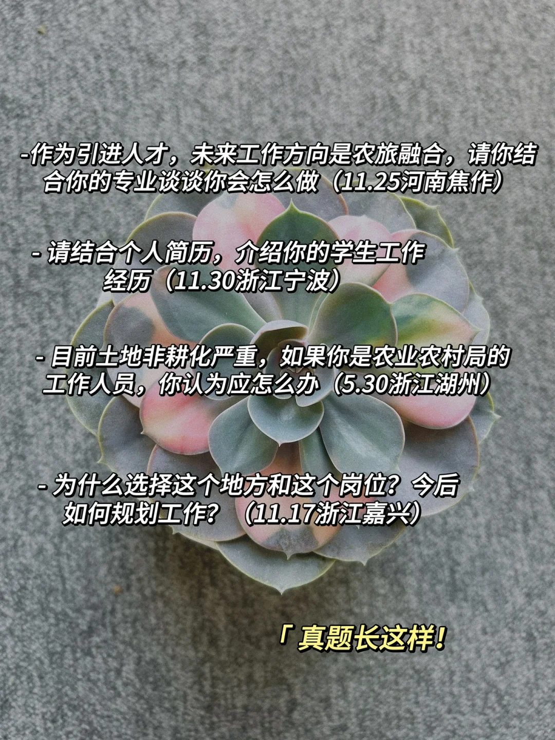 农学人才引进面试打破信息差(二)