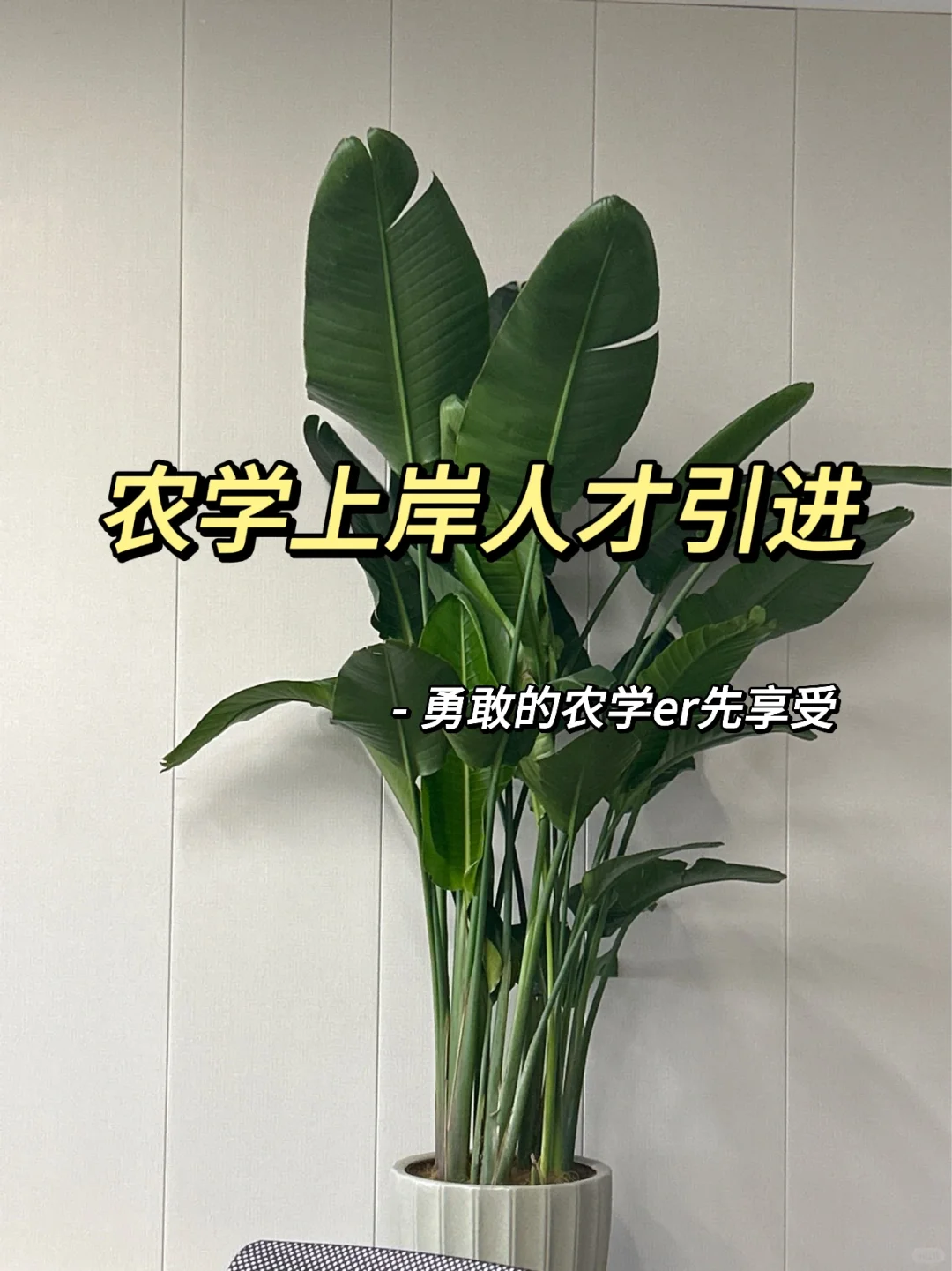 农学人才引进面试打破信息差(二)